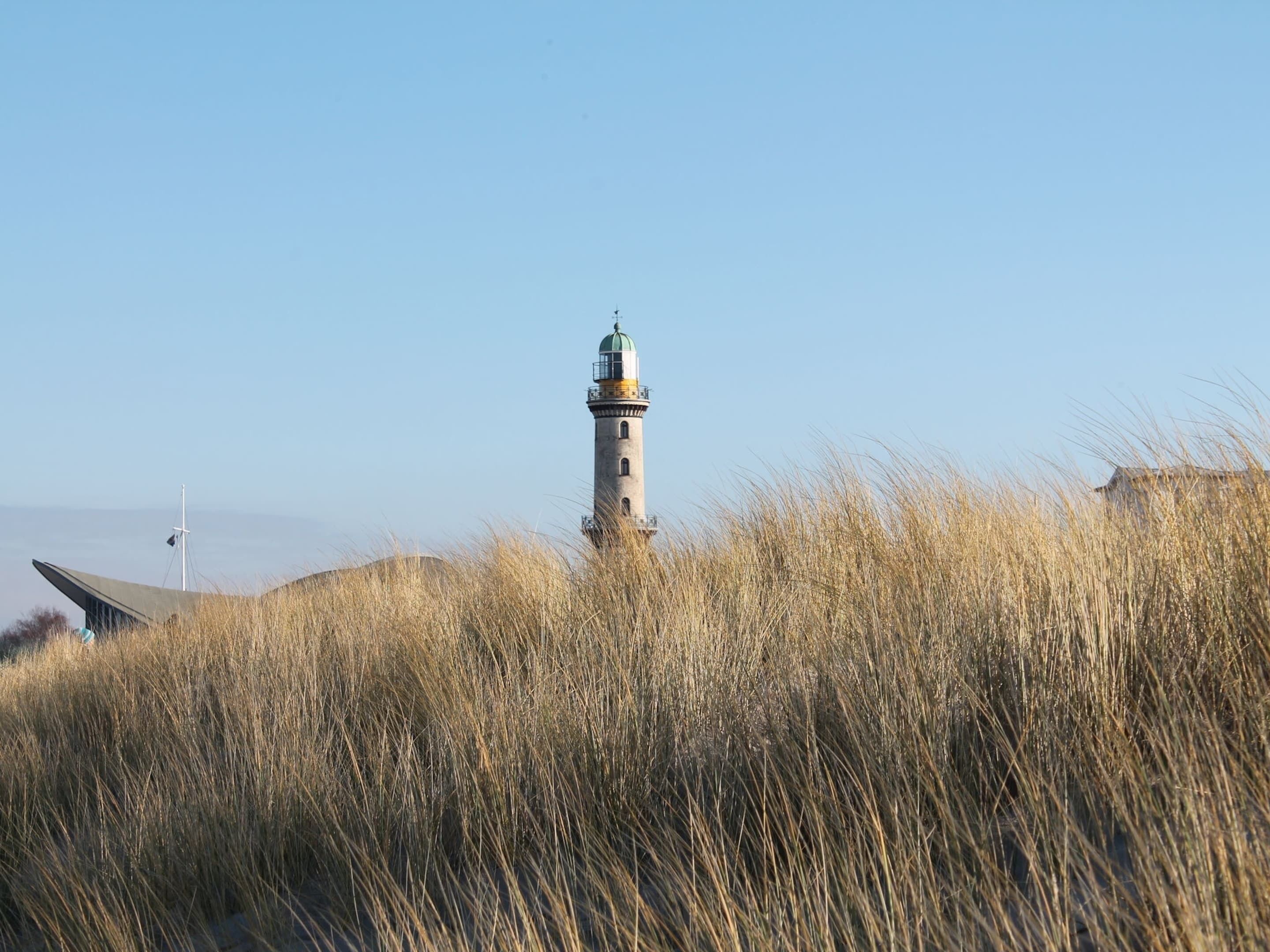 A lighthouse surrounded by tall grass.