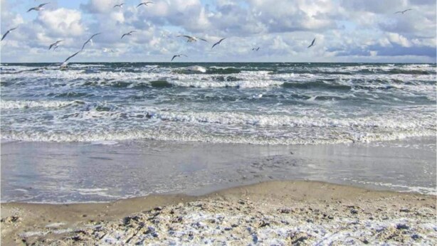 A beach with waves and seagulls flying. - Farmhouse Near Baltic Sea Kuhlungsborn (Kroepelin)