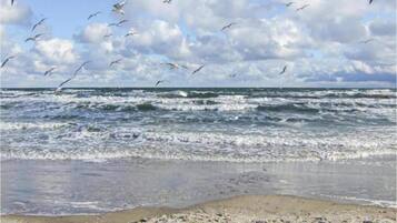 Ferienhaus | Blick von der Unterkunft