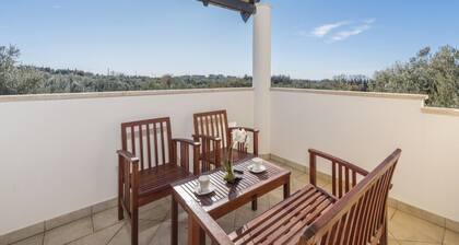 Holiday Home in Novigrad With Private Pool