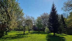 Un espace extérieur verdoyant, avec des arbres et un ciel dégagé.