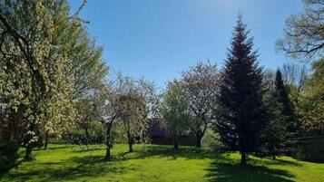 Apartemen | Pemandangan dari properti