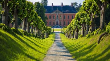 House | View from property