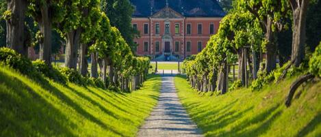 House | View from property