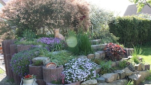 Un jardín con diversas plantas y flores, una estatua decorativa de ardilla y un cubo de metal.