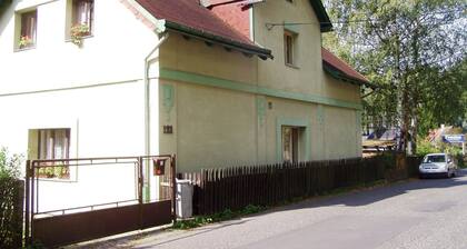 Spacious Holiday Home in Jetrichovice With Fireplace