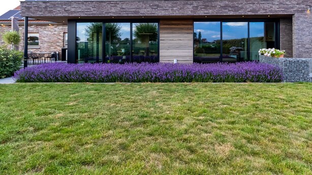 Ett modernt hus med en fasad av tegel, stora fönster och en trädgård med lila blommor.