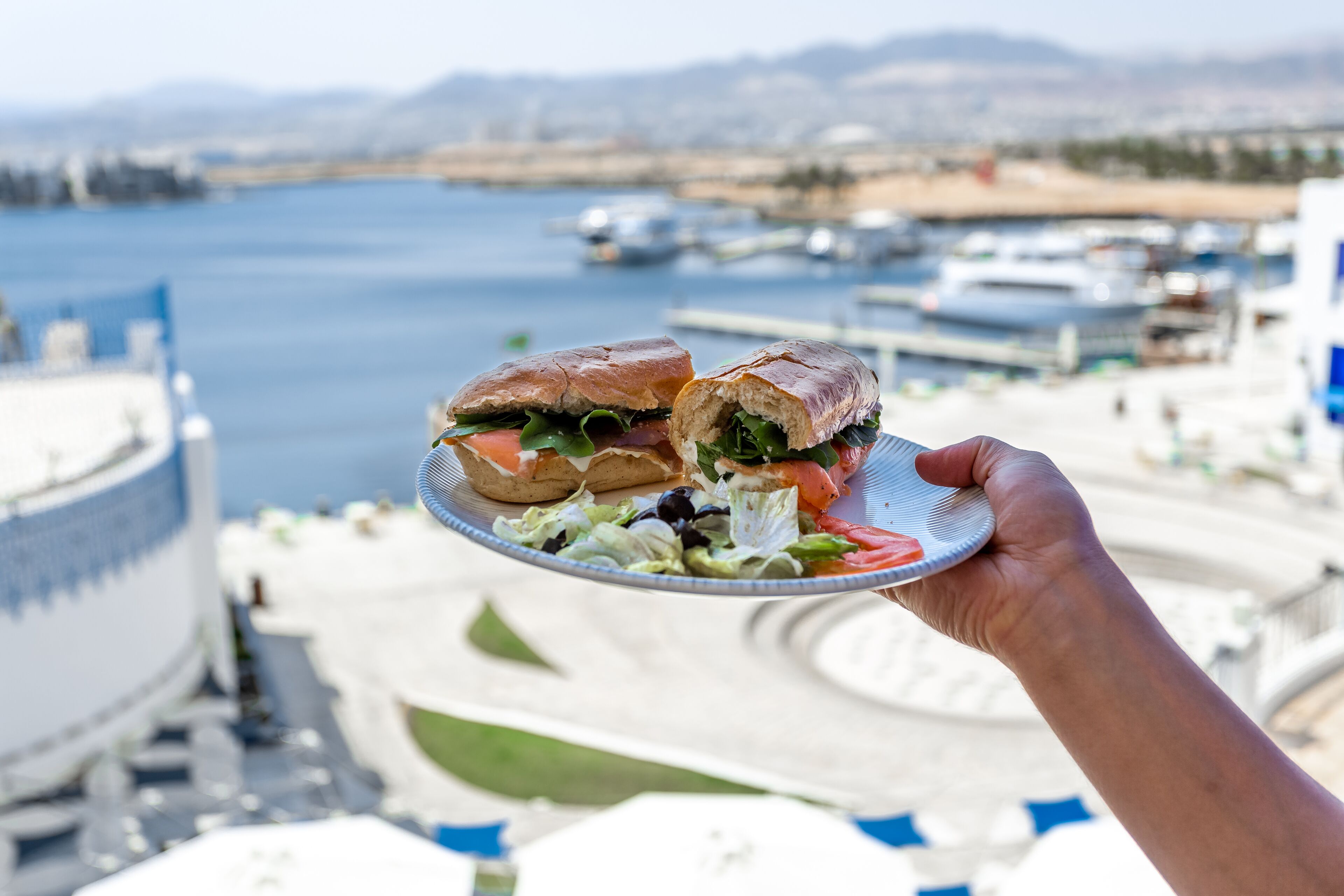Una mano sosteniendo un plato con un sándwich y ensalada, con vista a un muelle con barcos y edificios.
