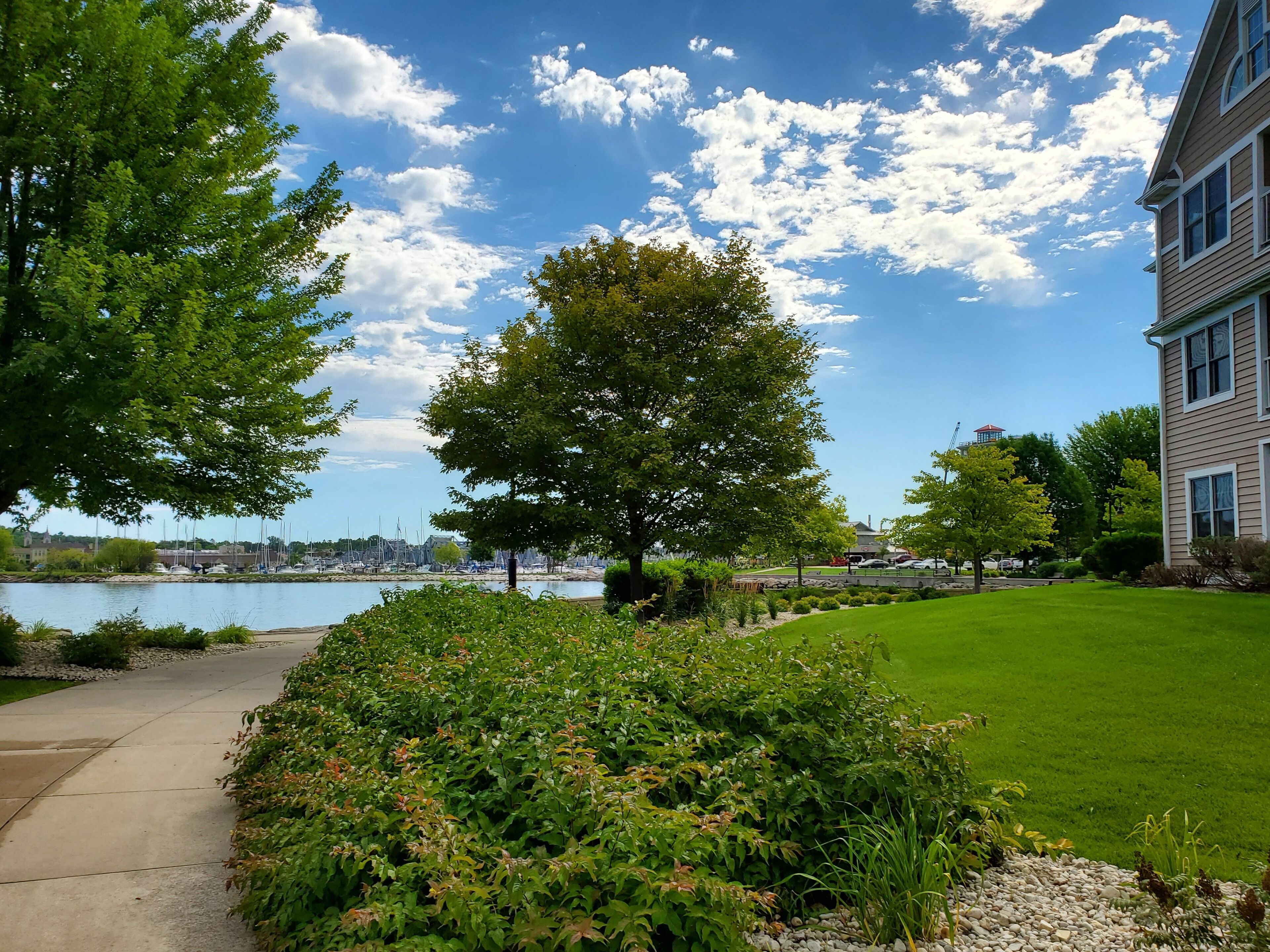 A well-maintained lawn, a pathway, and a large tree in a residential area with a view of a body of water and distant buildings.