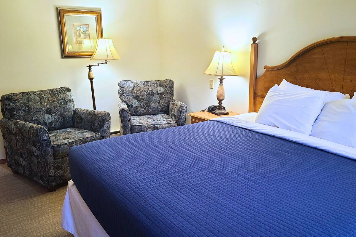 A hotel room with a large bed, two armchairs, a nightstand with a lamp, and a framed picture on the wall.