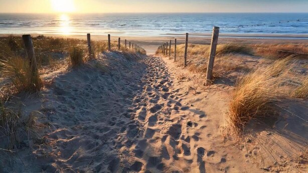 Ein Sandweg am Strand mit Holzpfählen, der zum Meer führt.
