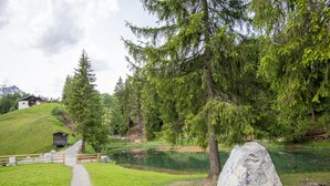 A gravel path leading to a wooden cabin in a forested area with a large boulder nearby.