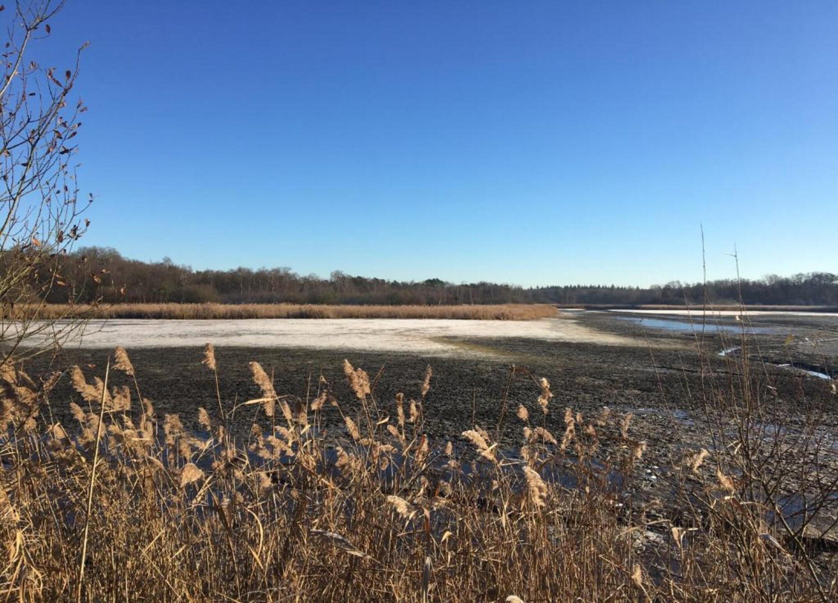 A natural landscape with a clear sky, a body of water, and dry vegetation.