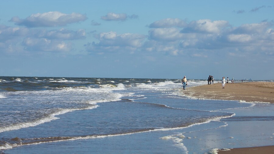 Apartment in Katwijk Near the Beach