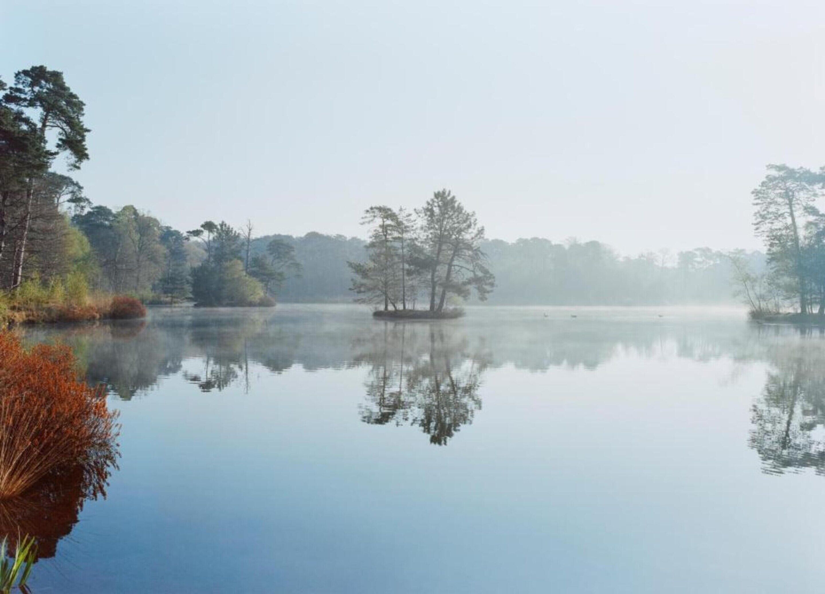 A calm lake with trees reflecting on the water's surface.