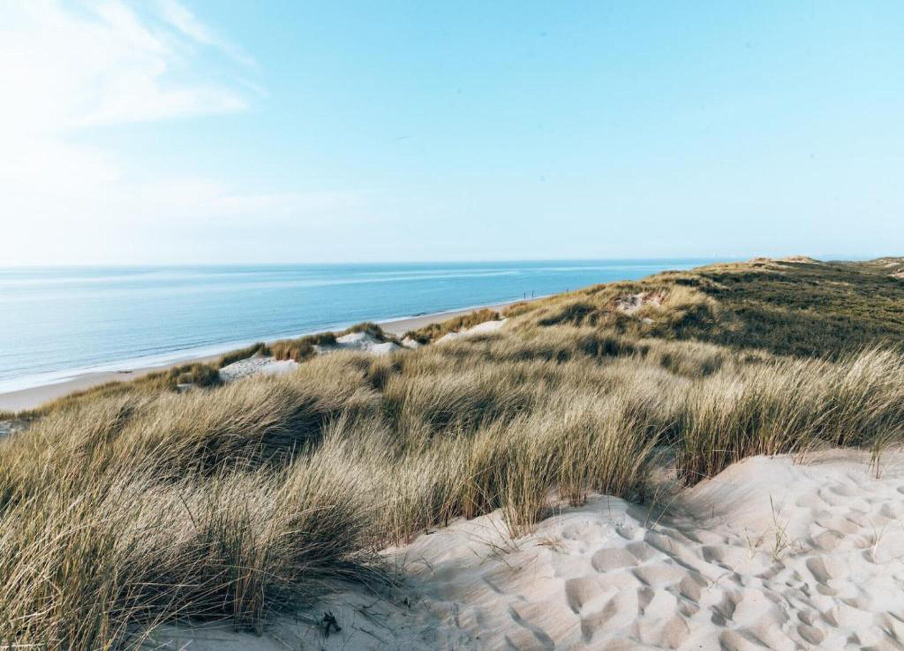 A beach with sand dunes and a clear view of the ocean.