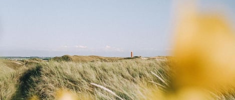 A coastal landscape with dunes and a lighthouse in the distance.