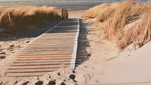 Beach - Bungalow for 8 People on the Edge of the Forest Located Between Egmond & Bergen (Bergen)