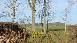 Ländliche Landschaft mit Bäumen, einem Vogelhäuschen und einer grünen Wiese.