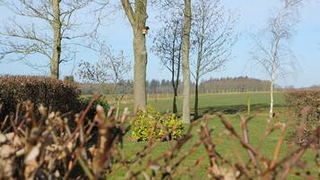 A rural landscape with trees, a birdhouse, and a grassy field.