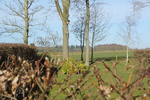 Maison | Vue depuis l’hébergement