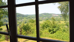 A view through a window with a grid pattern, displaying a green landscape with trees and hills. - A Superb Cottage in the Middle of a Natural Park (Hotton)