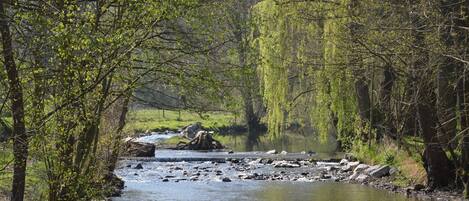 Une rivière bordée de rochers et d’arbres, une zone herbeuse et un saule pleureur.