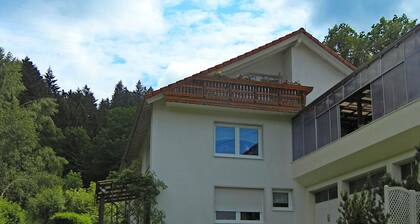 Beautiful Apartment in Schiltach With Swimming Pool