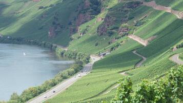Apartment | Pemandangan dari hartanah