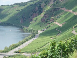 Apartment | View from property - Vineyard View Romantic Stay (Kinheim)