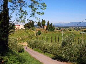 Une route de campagne avec un cycliste, des vignobles et des bâtiments en arrière-plan.