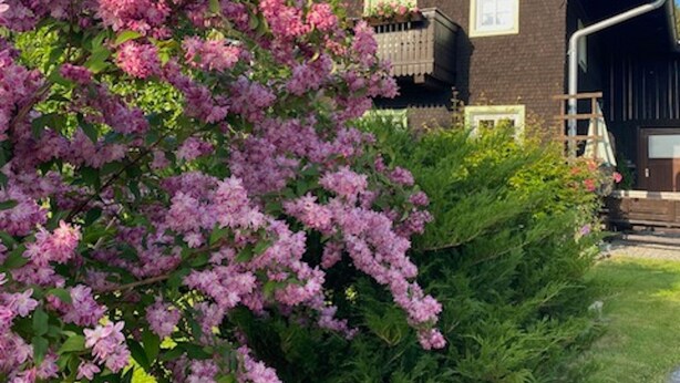 A traditional chalet with a wooden balcony, surrounded by lush greenery and blooming flowers. - Holiday Home in Rattersberg Bavaria With Terrace (Viechtach)