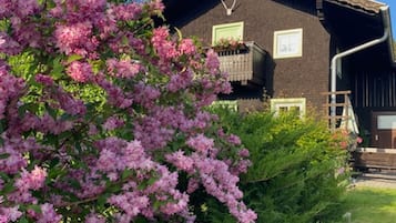 Ferienhaus | AuĂenbereich