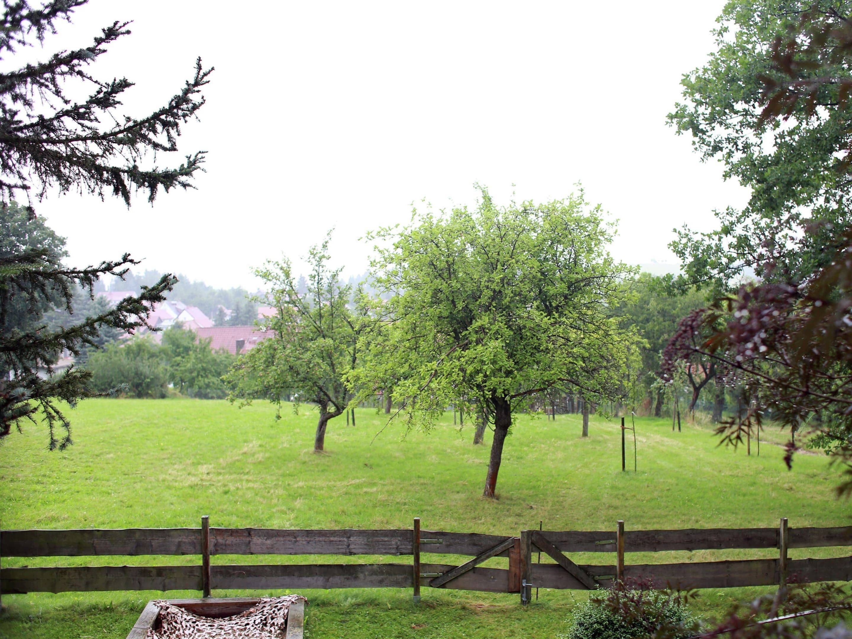 Ferienhaus | Außenbereich