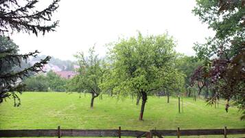 Ferienhaus | Außenbereich