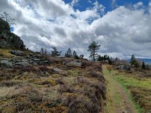 Casa | Alberca