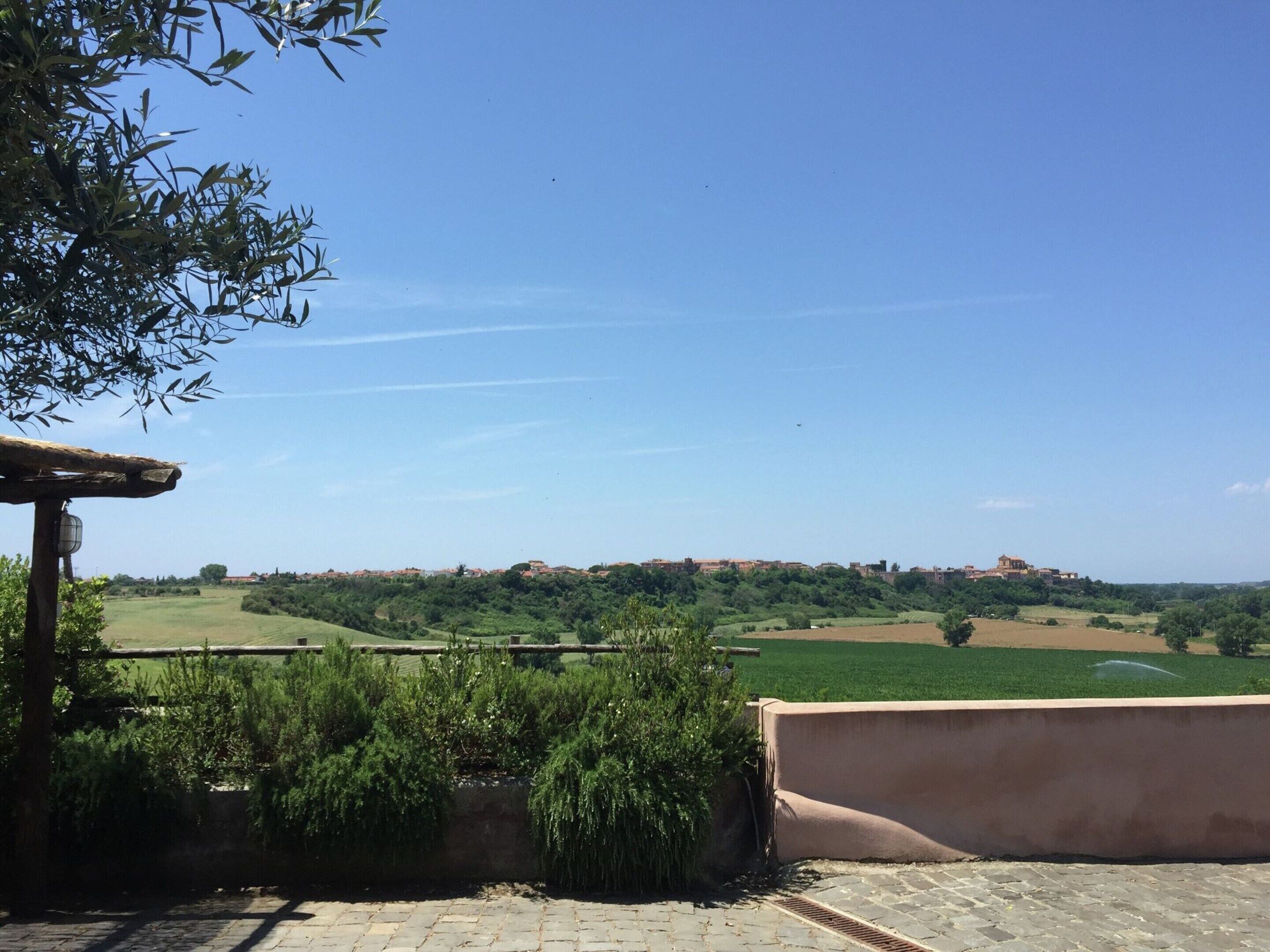 A view of a rural landscape with fields, a clear sky, and a distant building.