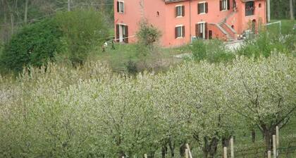 Belvilla by OYO Appartamento Yassine