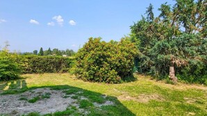 Un'area verde con cespugli e un albero.