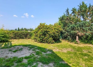 Ferienhaus | Blick von der Unterkunft