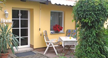 Hill View Holiday Home in Dankerode near Lake & Hiking