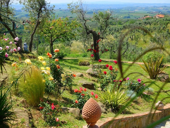 A garden with various flowers and a view of the countryside.