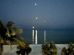 Nära stranden