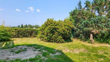 House | View from property