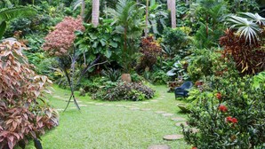 A lush garden with a variety of tropical plants, a stone pathway, and a tripod stand. - West Coast 1 Bedroom Apartment - Close to beach (66) (Holetown)