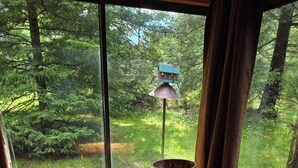 Een houten eettafel met vier krukken, een boek getiteld 'Birds of Michigan' en een vogelhuisje op een vensterbank.
