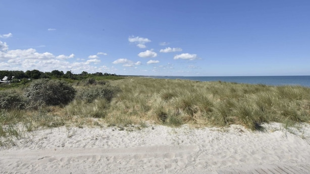A beach with sand and grass, a clear sky, and a distant view of the ocean.