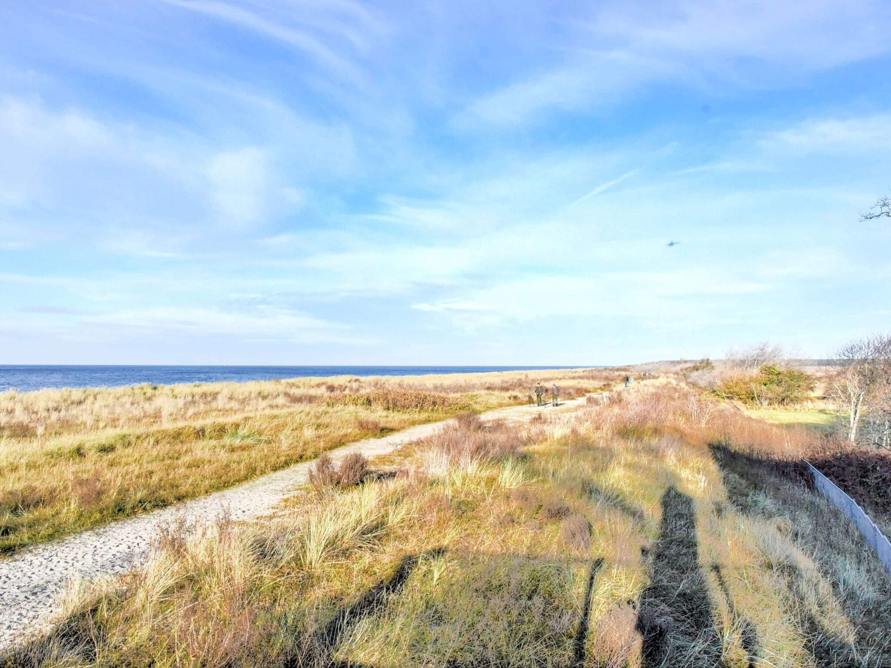 A coastal path with grassy terrain and a clear sky.