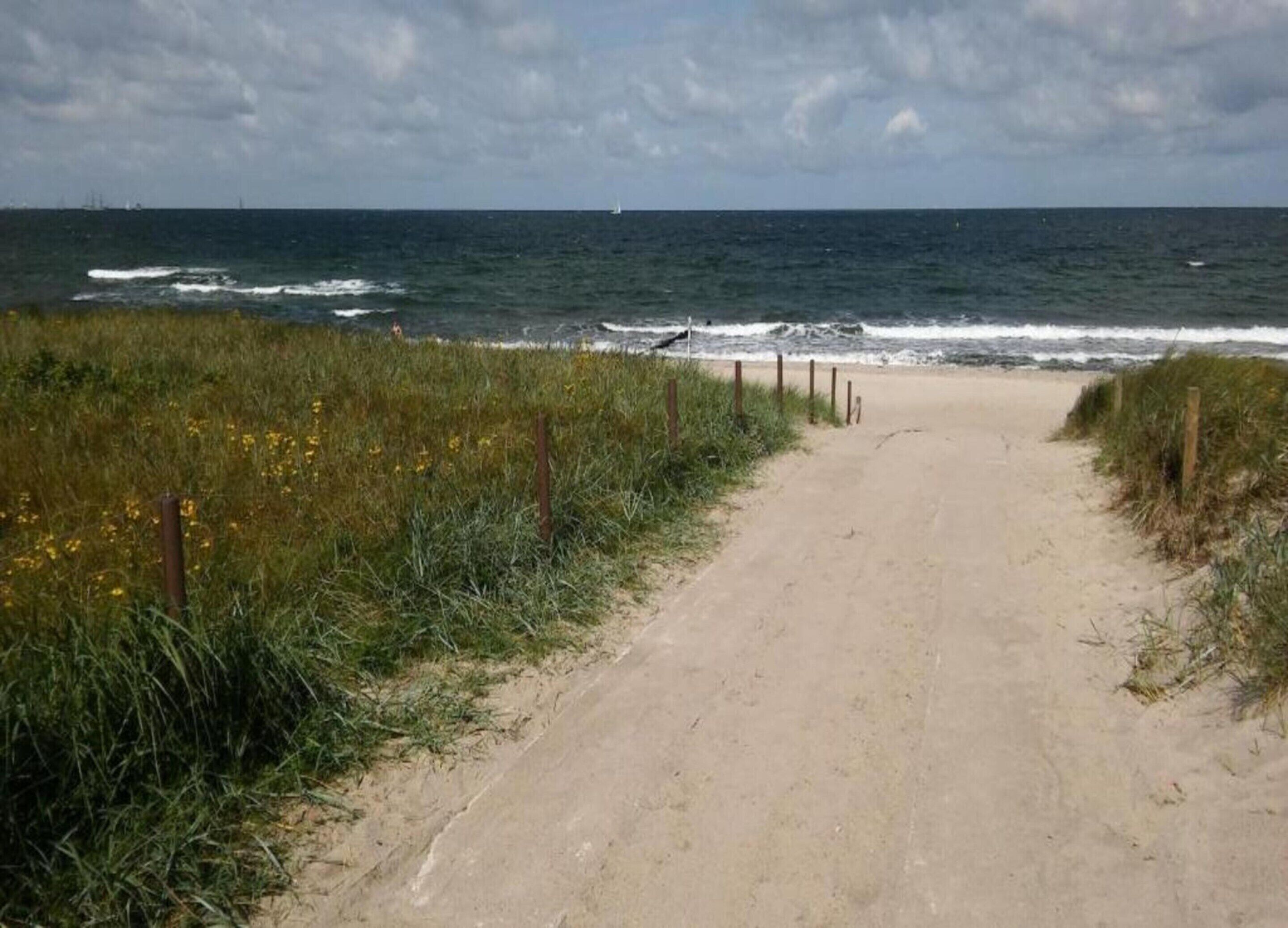 A sandy beach path leading to the ocean with a fence on one side and wildflowers on the other.