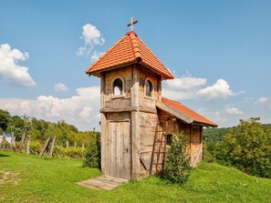 Exterior - Exotic Villa in Čepelovac with Swimming Pool  (Durdevac)